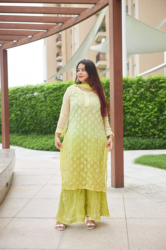 Omrae Buti Jaal Georgeete Chikankari Full Suit