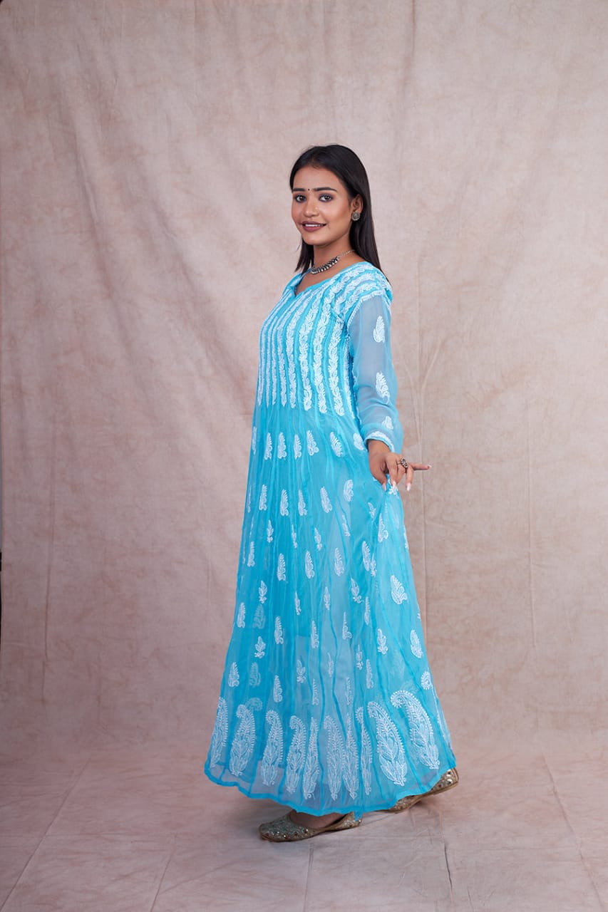 Georgette 56 Kali Anarkali Gown (Copy)